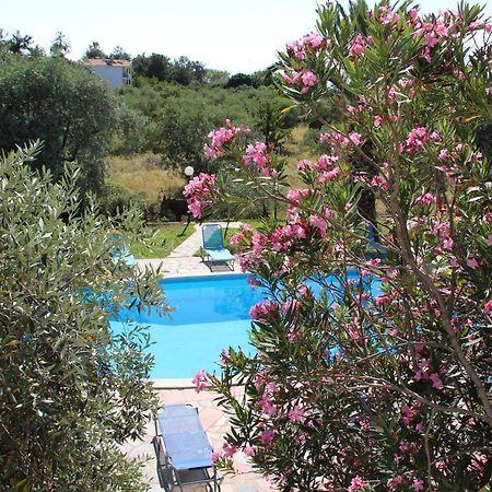 Villa Iatrou Potos Extérieur photo